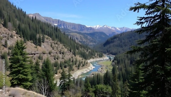 Fototapeta Scenic Mountain Valley Vista with River and Evergreen Forests against Clear Sky