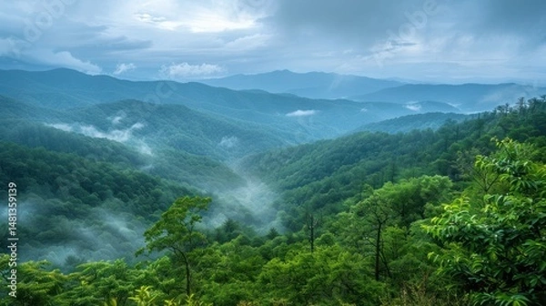 Obraz Misty mountain range. Lush forest valley