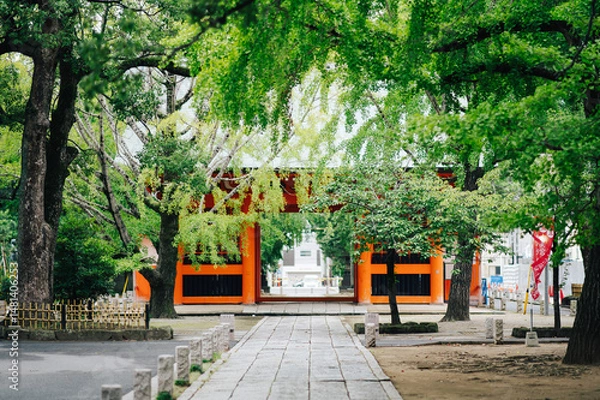 Obraz 神社の参道と鳥居
