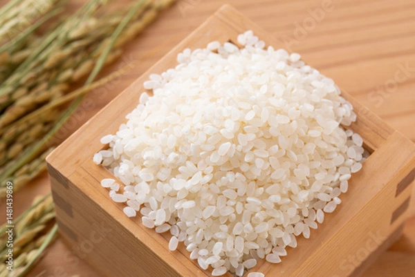 Fototapeta 新米と稲穂