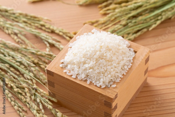 Fototapeta 新米と稲穂