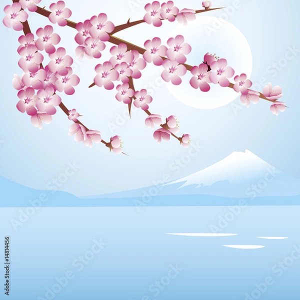 Obraz Cherry blossom blue sky