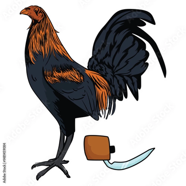 Fototapeta A fighting cock is a type of rooster and game fowl, a type of chicken that has physical and behavioral characteristics suitable for cockfighting.