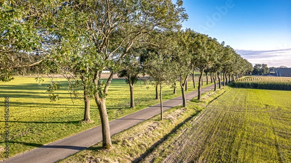 Fototapeta Bicycle lane road between trees aerial drone view from above, cycling lane for bikes, idyllic dutch spring landscape, typical countryside transportation infrastructure in the Netherlands