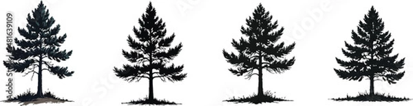Fototapeta Cut Out Set of Pine tree silhouette isolated on Transparent or white background, Vintage sketch vector illustration.