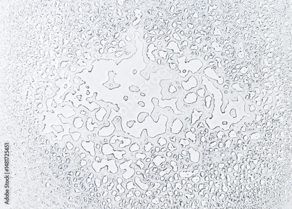 Fototapeta Abstract Water drops on white background, water drops pattern background
