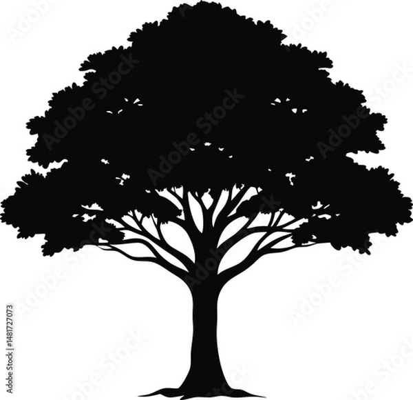 Fototapeta Silhouette of a Majestic Oak Tree