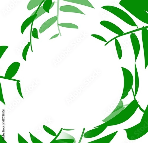 Fototapeta bamboo frame with leaves on a white background