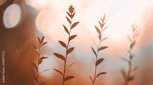 Fototapeta Tranquil plant silhouettes against a soft sunset background for nature design