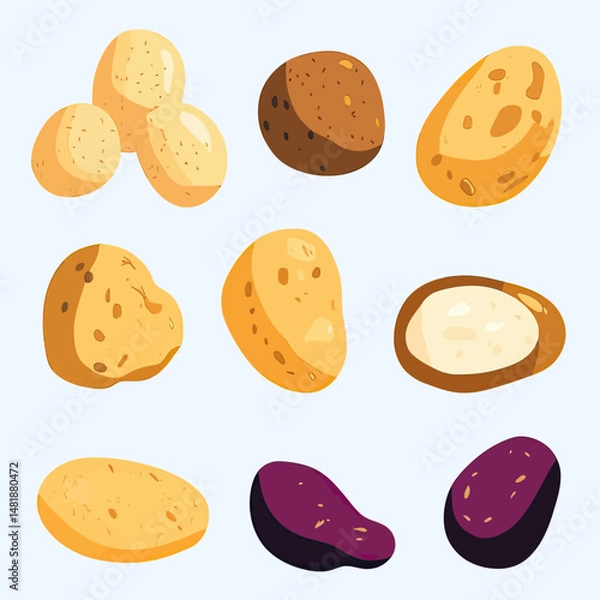 Obraz Set of colorful potato illustrations with whole, cut, and sliced varieties including yellow, brown, and purple potatoes in flat minimalist vector style for food design and agriculture concepts