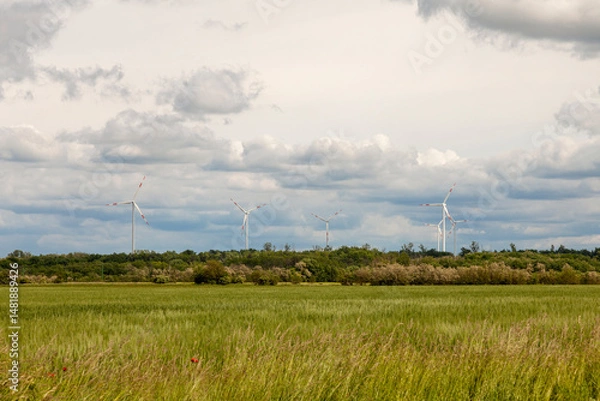 Fototapeta Wind power generators stand in a field