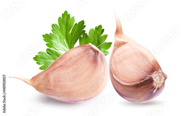 Obraz garlic isolated on white background. clipping path