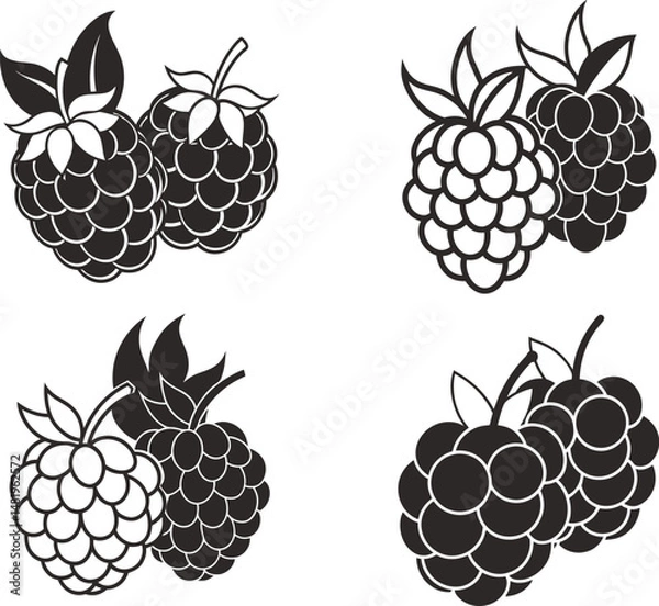 Obraz Raspberry Illustrations Black and White Vector Illustration