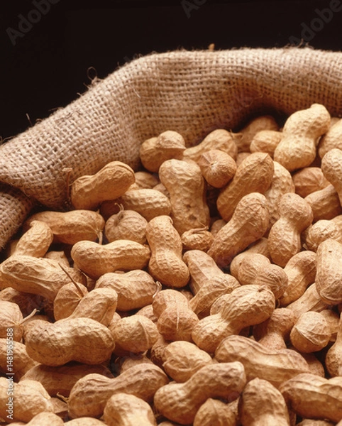 Obraz Nuts shell bag detail.