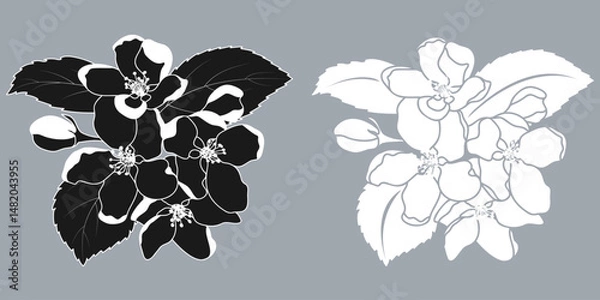Fototapeta Apple Blossom Silhouette Spring Fruit Tree Flowers