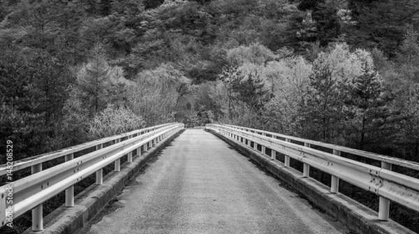 Obraz Ponte no Preto branco
