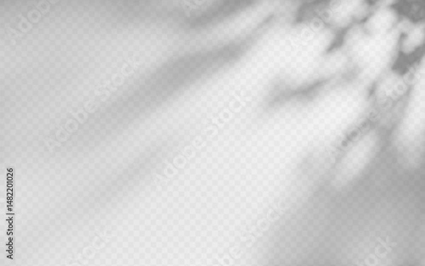 Fototapeta Abstract shadow overlay from foliage on a transparent background.