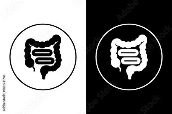 Fototapeta Black and White Intestines Icon Clean Human Digestive System Vector.