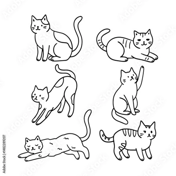 Obraz Set of cats of different breeds, in different poses. Contour cats and kittens. Cute cats, playful cats. Children stickers racy vector clipart