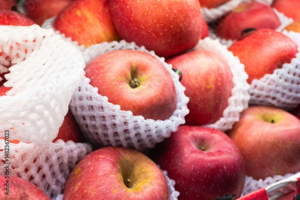 Fototapeta Fresh red apples wrapped in white foam netting are neatly stacked, ready for sale at a market or grocery store, showcasing vibrant color and ripeness.