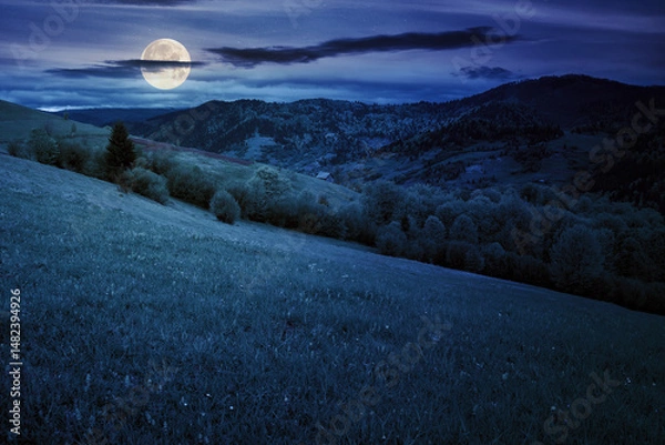 Fototapeta scenic rural landscape in mountains at night. forest on the grassy hillside in full moon light. ridge in the distance under starry sky with dark clouds