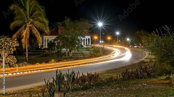 Obraz Nighttime Road with Light Trails, Palm Tree, and Illuminated Bui
