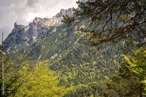 Fototapeta Majestic View Of Linderspitze Mountain In Karwendel: Dramatic Rocky Peaks Towering Above A Dense Carpet Of Lush Green Forests Framed By Tree Branches Under A Moody Sky In Tyrol, Austria