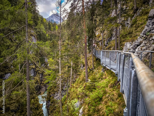 Fototapeta Scenic Hiking Path Through Leutaschklamm Gorge: Narrow Metal Walkway Clinging To Steep Rocky Cliffs Above A Turbulent Mountain Stream Surrounded By Towering Pines And Alpine Scenery In Tyrol, Austria