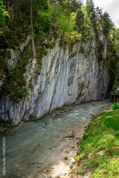 Fototapeta Spectacular Entrance To Leutaschklamm Gorge: Dramatic Vertical Rock Walls Flanking A Rushing Mountain Stream With Lush Greenery And Forested Pathways In The Scenic Tyrol Region Of Austria