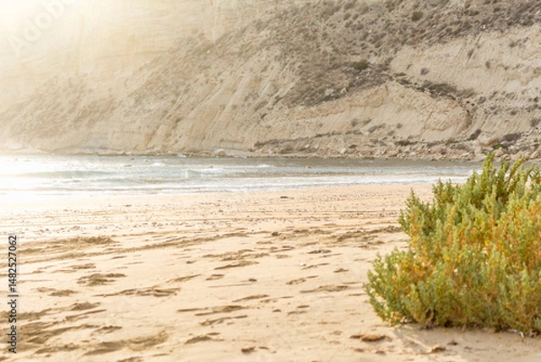 Fototapeta Golden Sand Meets Azure Ocean Waves Beautifully.