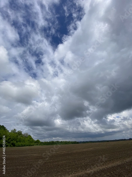 Obraz Before the storm, the rain. The photo was taken in a spacious, large field, far into the horizon, amidst the mass of nature, under massive clouds. Soon, heavy rain will fall from the cloudy spring sky