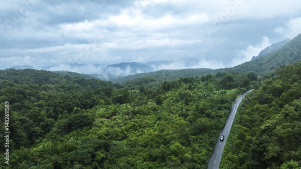 Obraz Top view road in beautiful autumn forest at sunset, trees with red and orange leaves , Beautiful landscape view from flying drone in Nature