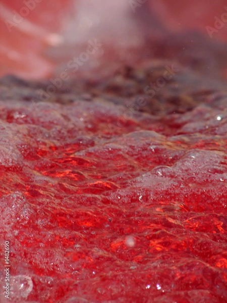 Obraz red water slide fun