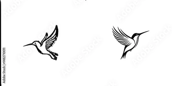 Fototapeta Vector illustration of two hummingbirds in flight showcasing distinct styles and details suitable for nature-themed projects