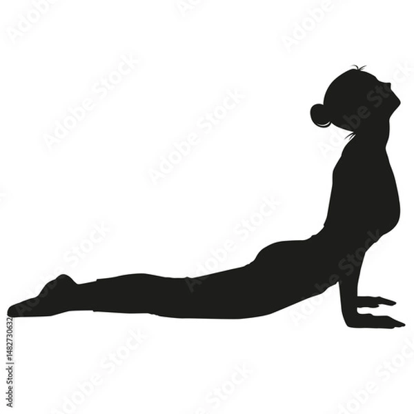 Obraz Gym exercise silhouette cobra