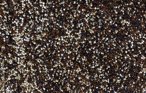 Fototapeta Close-Up of Tricolor Quinoa Grains in a Textured Pattern