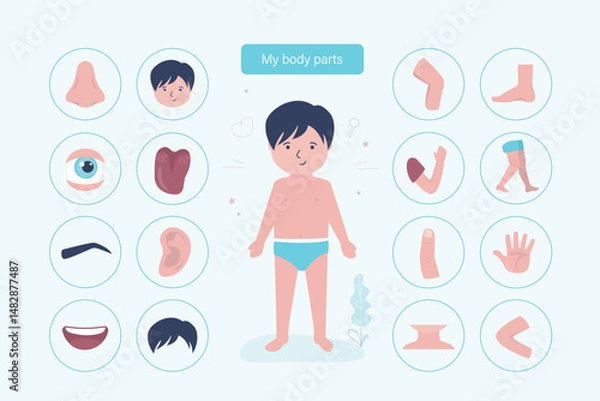 Obraz Preschool educational banner or poster, icons template. Set of boy body organs pictogram. Child or kid body parts for learning human anatomy. Boy full length.