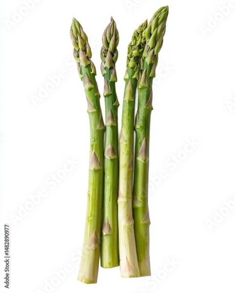Fototapeta Fresh Green Asparagus Stalks on White Background for Culinary Use