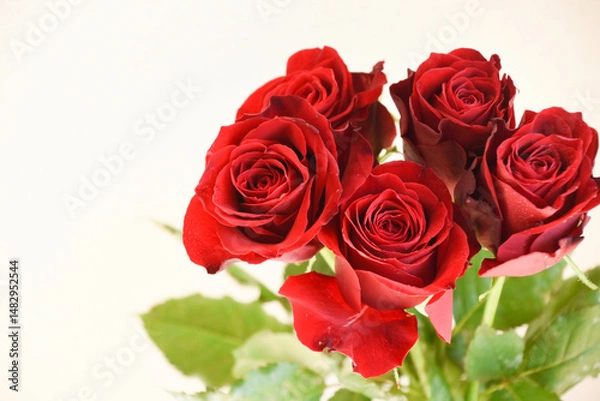 Fototapeta 赤い薔薇