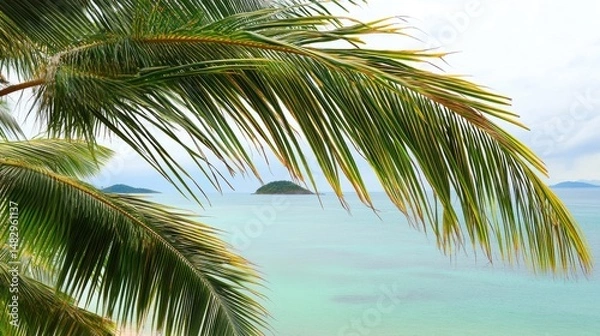 Fototapeta Lush Palm Fronds Overlooking Tranquil Ocean and Islands in Distance