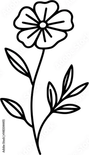 Fototapeta Line drawing of various flowers vector, clipart, transparent, png, element