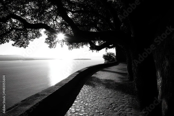 Fototapeta Lakeside view in black and white with cobblestone walkway and sunlit water