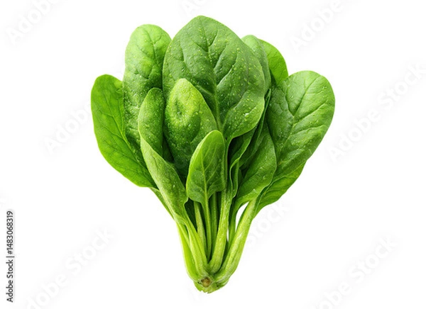 Fototapeta a bunch spinach