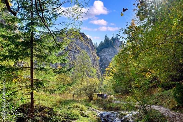 Obraz Hiking through the Homole george in Pieniny mountains, a little creek leading through a gorge canyon at a  morning time in autumn.