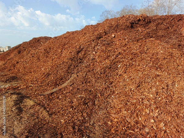 Fototapeta A pile of bark from coniferous trees in an open space.