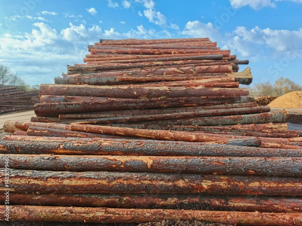 Fototapeta A stack of prepared coniferous timber.