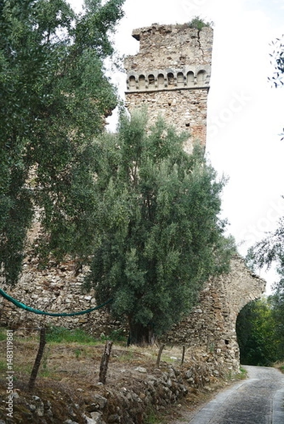 Fototapeta Ruins of an ancient castle in the abandoned medieval village of Oppido Vecchia in Aspromonte, Calabria, Italy.