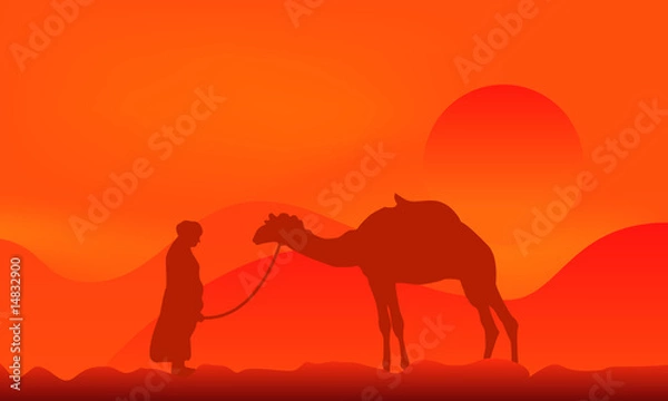 Obraz Camel over sunset