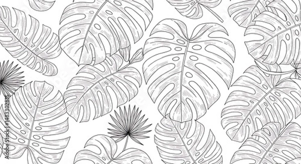 Fototapeta Botanical Linework Reverie