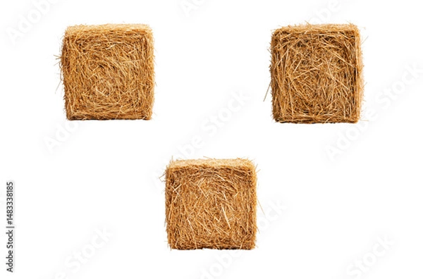 Fototapeta Dry straw hay bales stacked in rural farm field